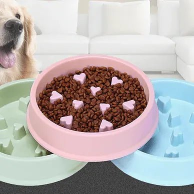Anti - Choking, Healthy Eating Pet Bowl - PetEase