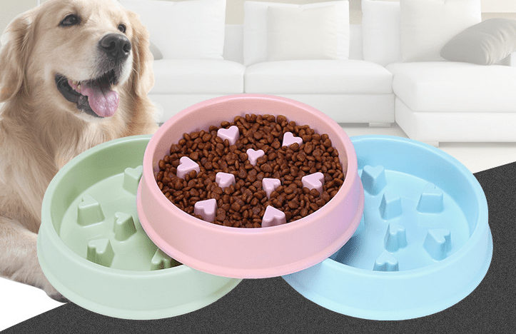 Anti - Choking, Healthy Eating Pet Bowl - PetEase