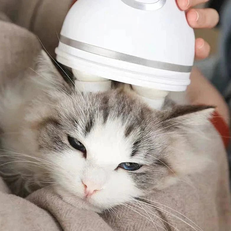 Cat Electric Head and Body Massager - PetEase