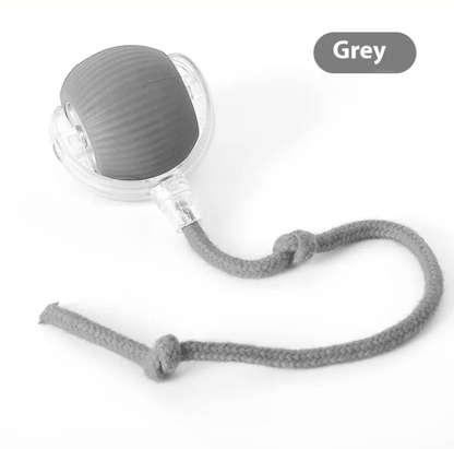 Interactive Cat Toy Ball - PetEase