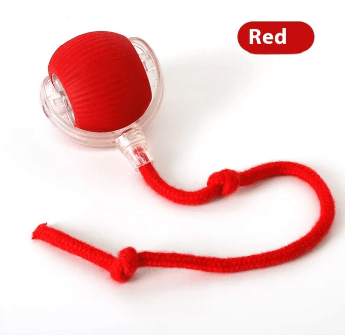 Interactive Cat Toy Ball - PetEase