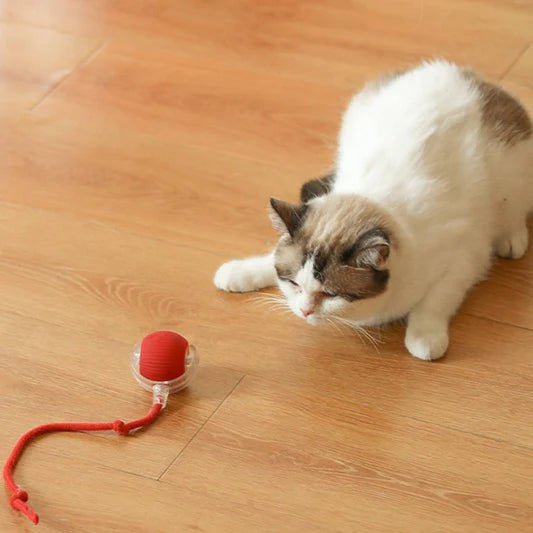 Interactive Cat Toy Ball - PetEase