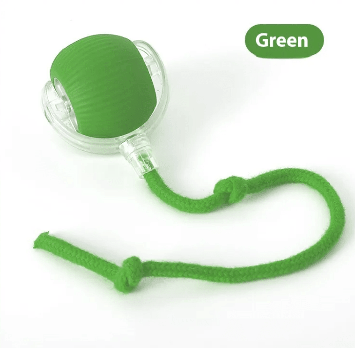 Interactive Cat Toy Ball - PetEase