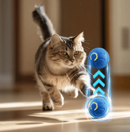 Interactive Smart Ball - PetEase