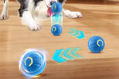 Interactive Smart Ball - PetEase