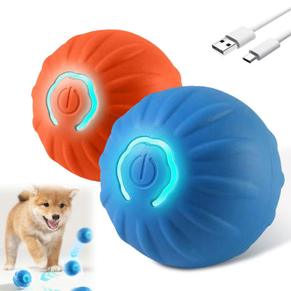 Interactive Smart Ball - PetEase